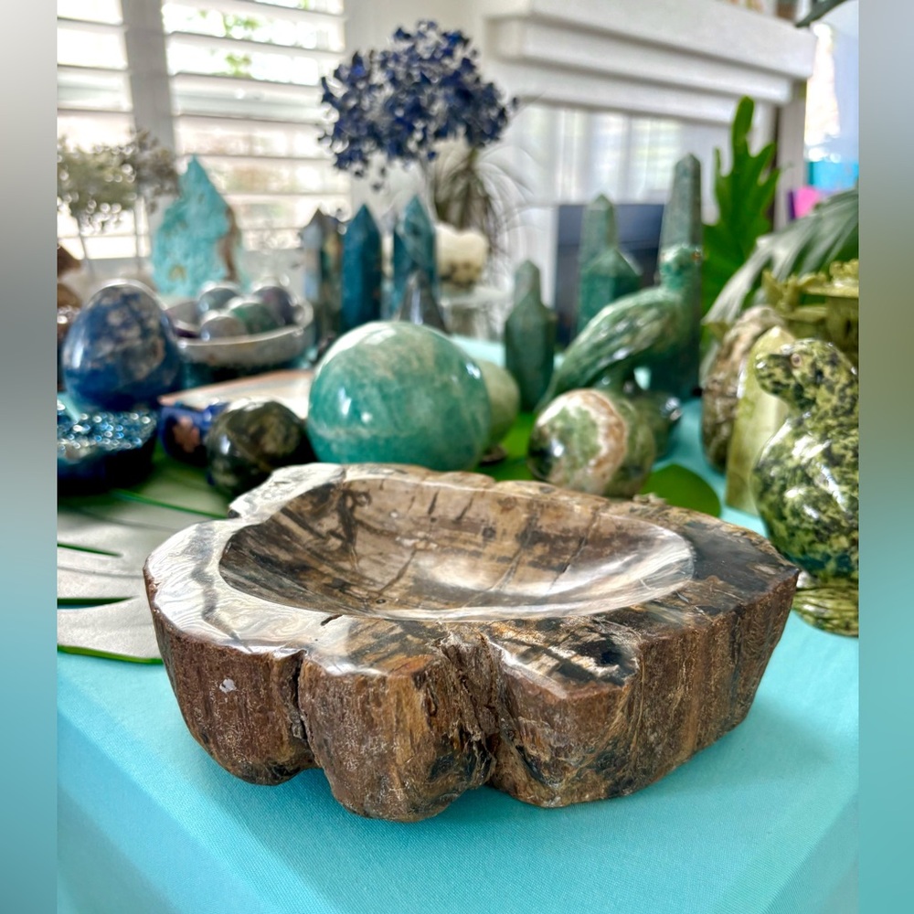 Petrified Wood bowl from Indonesia - Picture 4 of 9